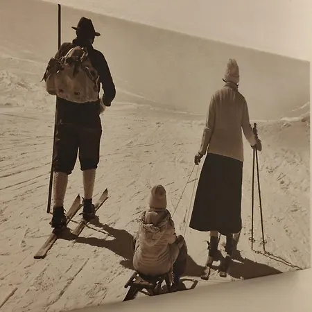 ホテル Garni Birkenheim 3*