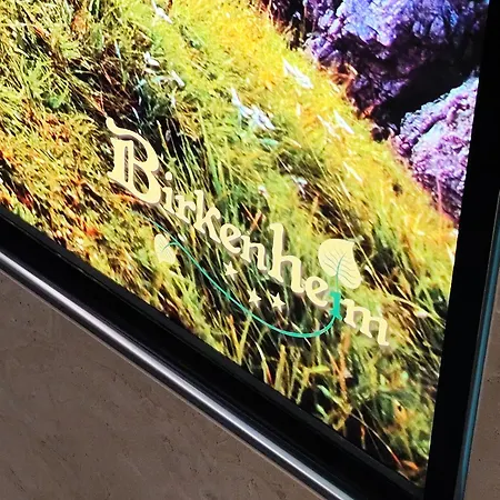 Garni Birkenheim Hotel Gerlos